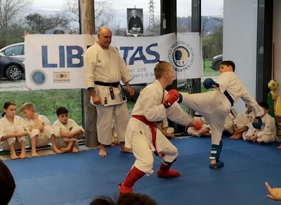 Combattimento libero cinture blu